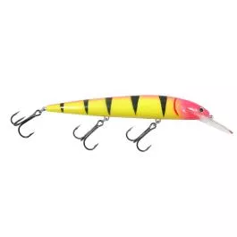 Northland Tackle Rumble B