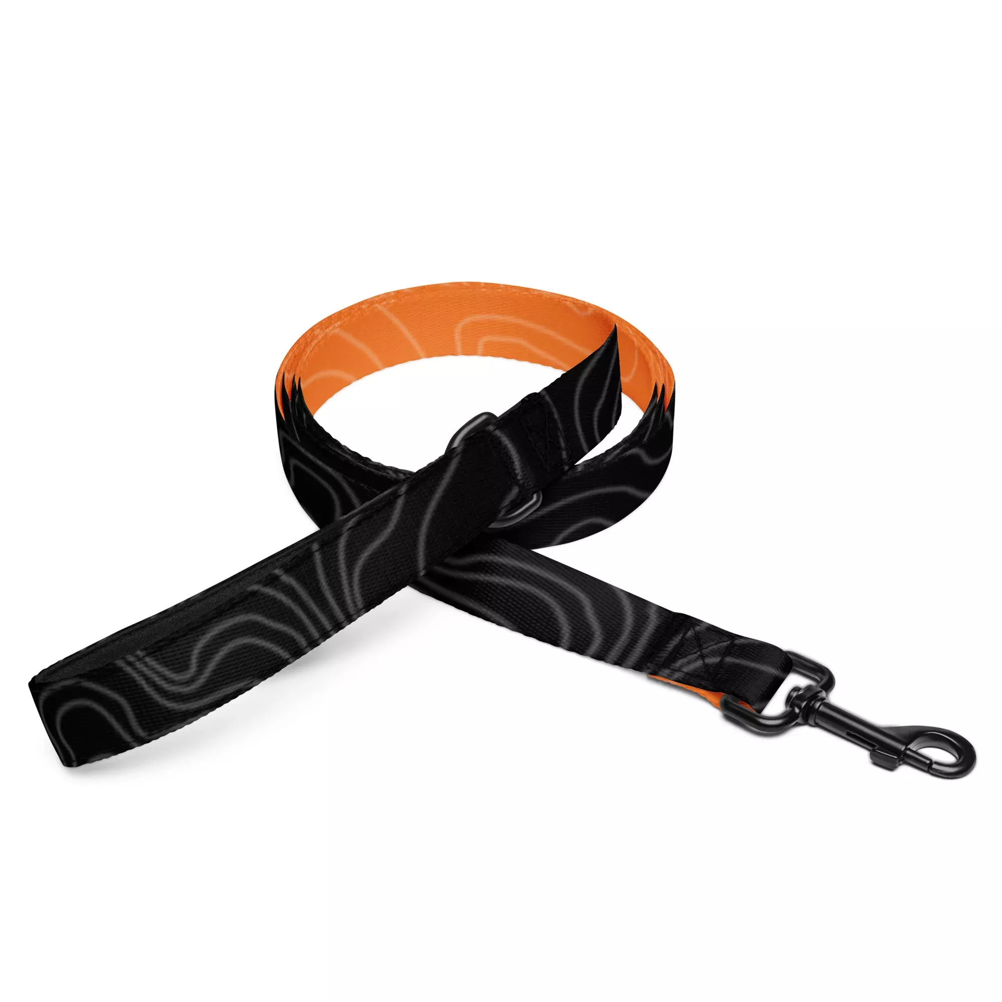 Not So Fast Pet leash