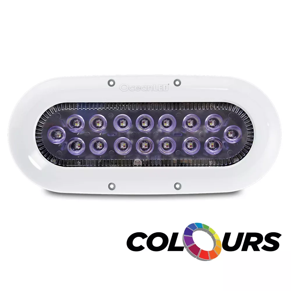 Ocean LED X-Series X16 – Colours LEDs [012311C]