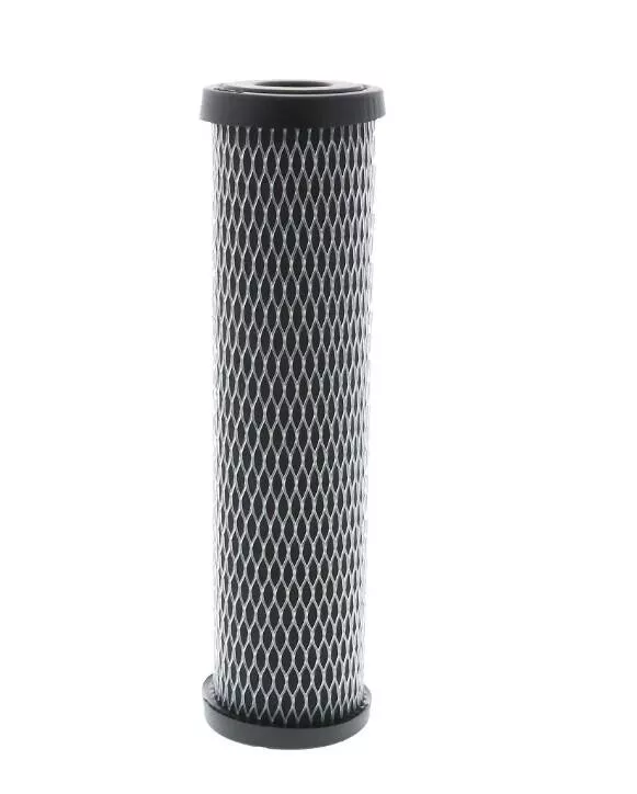 Pentek C1 Activated Carbon-Impregnated Cellulose 5 mic Filter• 155002-43
