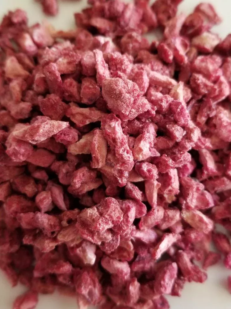 Rainy Day Foods Freeze-Dried Pomegranate Arils #10 Cans - 6 Pack