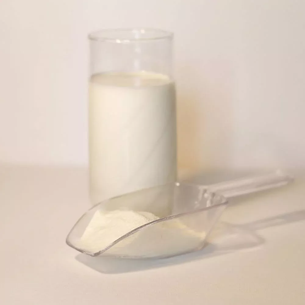 Rainy Day Foods – Instant Milk (Non-Fat) 55 lbs Bag – 66 Servings