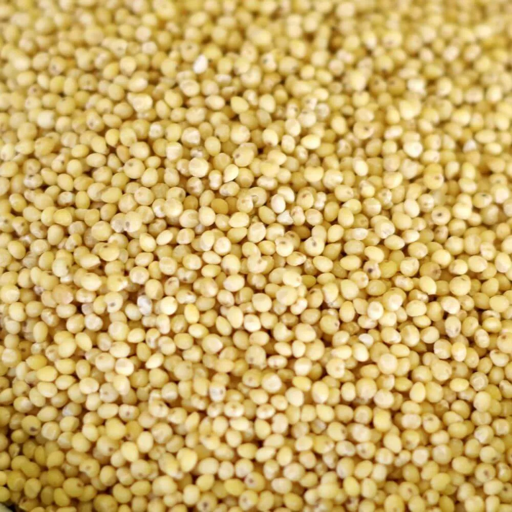 Rainy Day Foods Millet Hulled 50 lb. Bag - 227 Servings