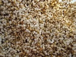 Rainy Day Foods Non-GMO Amaranth Natural 25 lbs. Bag – 118 Servings