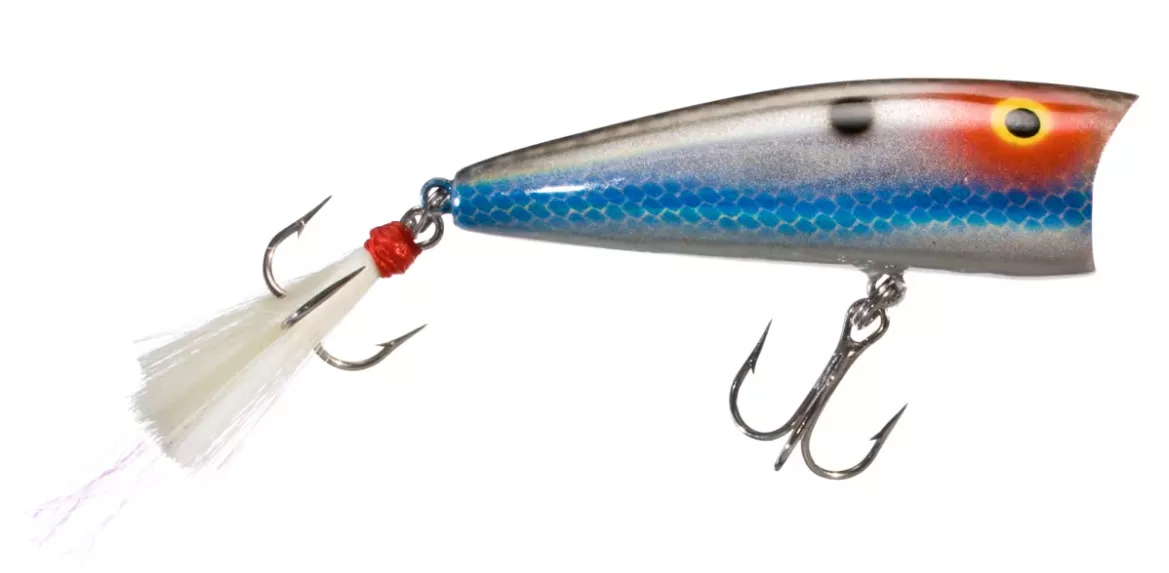Rebel Pop-R Plus Topwater Bait – 1/4 oz. 2.5″ Silver Shad