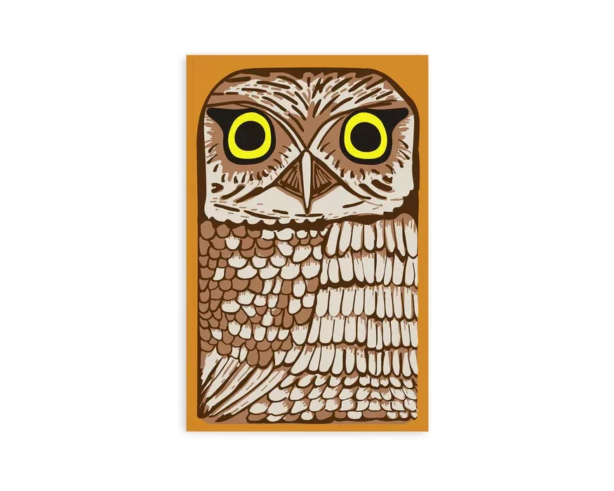 RETRO 51 DENIK OWL RESCUE -CLASSIC NOTEBOOK with DOT GRID PAGES