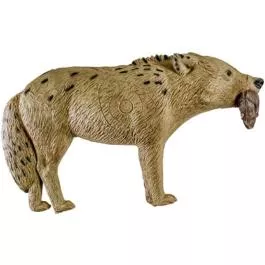 Rinehart Targets Woodland Coyote