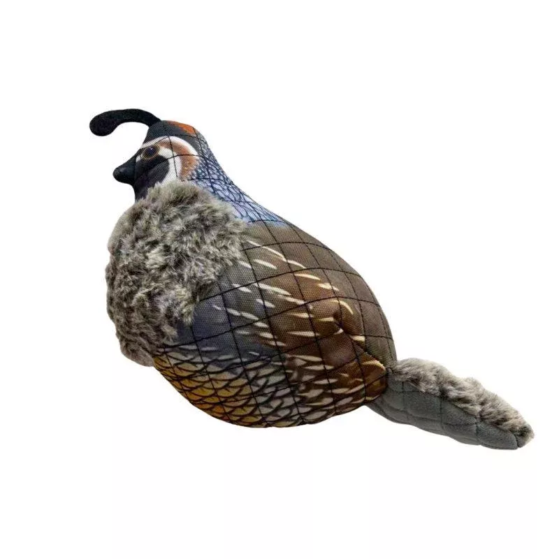ROCT Outdoor Dog Toys