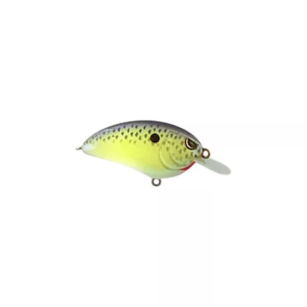 Spro Little John MD 1/2 Oz – Cell Mate #SLJM50CMT