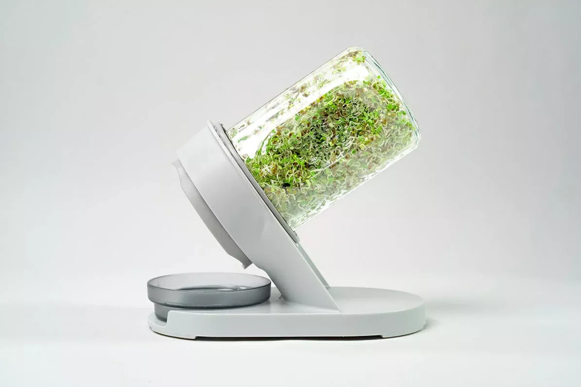 The Sprouter