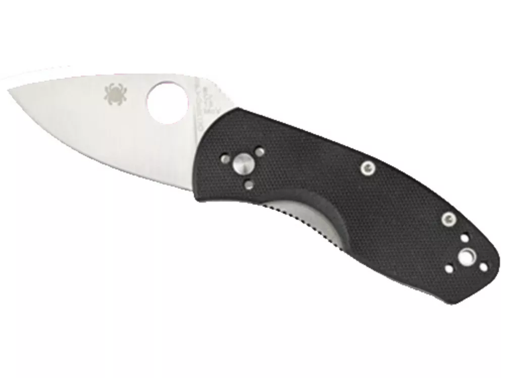 Spyderco 2.25" 8Cr13MoV Blade Black G10 Handle Folding Knife