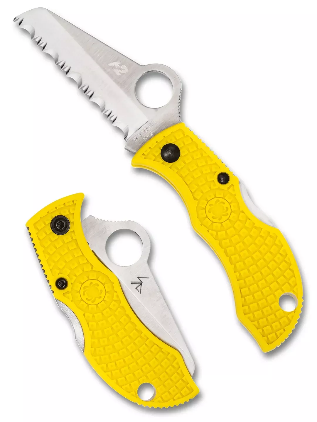 Spyderco Manbug Salt Backlock Folding Knife