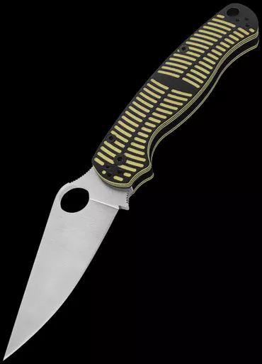 Spyderco Para Miltary 2 Salt Folding Knife