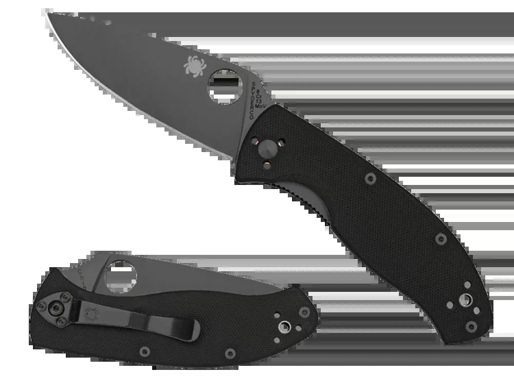 Spyderco Tenacious Folding Knife, 3.39 in Black Combo Edge, G-10 Handle, Liner Lock – C122GBBKPS