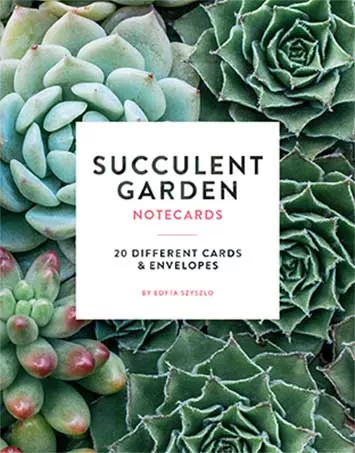 Succulent Garden Notecards – set of 20