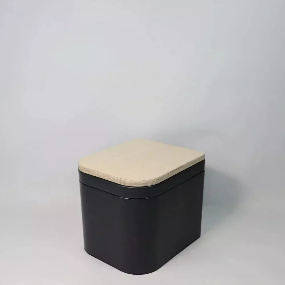 Trelino Origin M Composting toilet for Vans