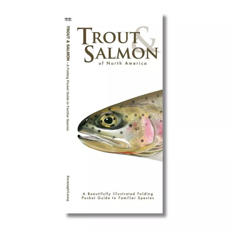 Trout & Salmon Laminated Guide