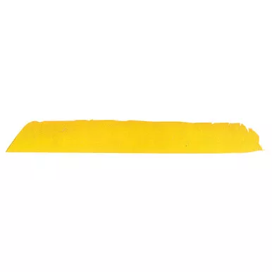 Trueflight Full Length Feathers 100 Pk.