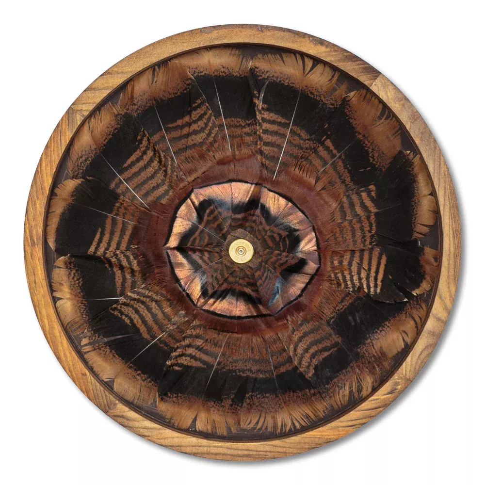 Turkey Feather Board w/ Shotshell