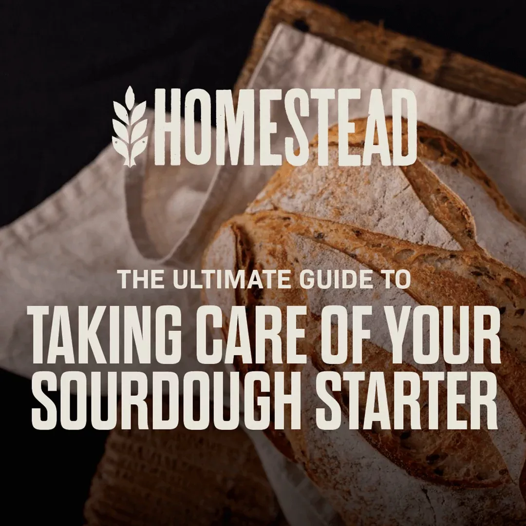 The Ultimate Guide to Taking Care of Your Sourdough Starter – Digital