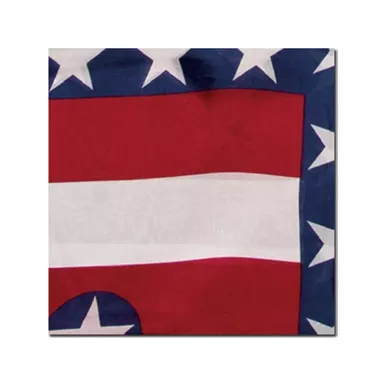WYOMING TRADERS Liberty Regular Silk Scarf (LL)