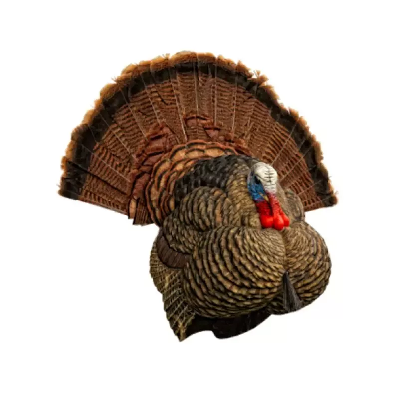 Zink Calls Avian-X LCD Strutter